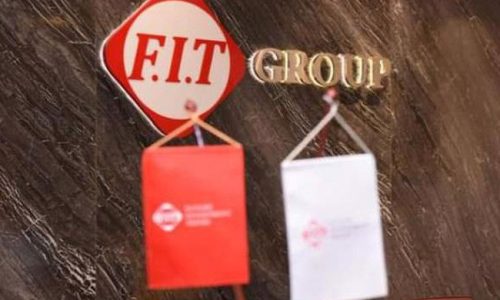 Tập đoàn F.I.T triển khai phương án phát hành 8 triệu cổ phiếu ESOP giá 10.000 đồng/cp